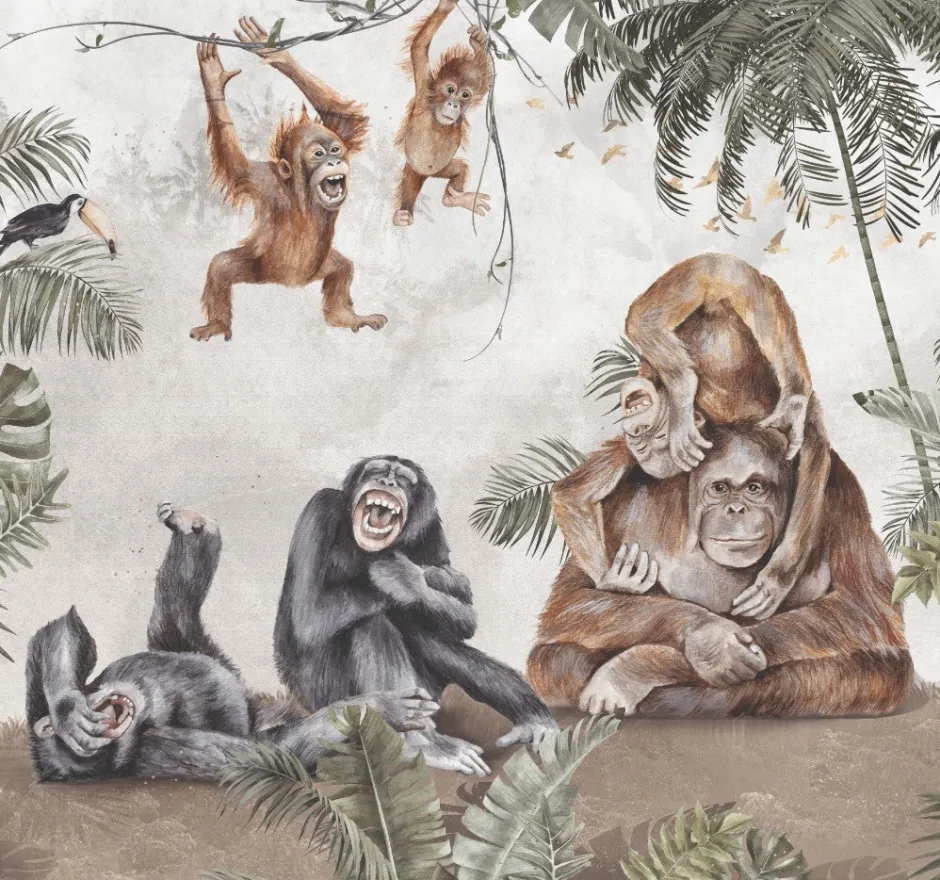 Best Behang apen Dieren|Behang