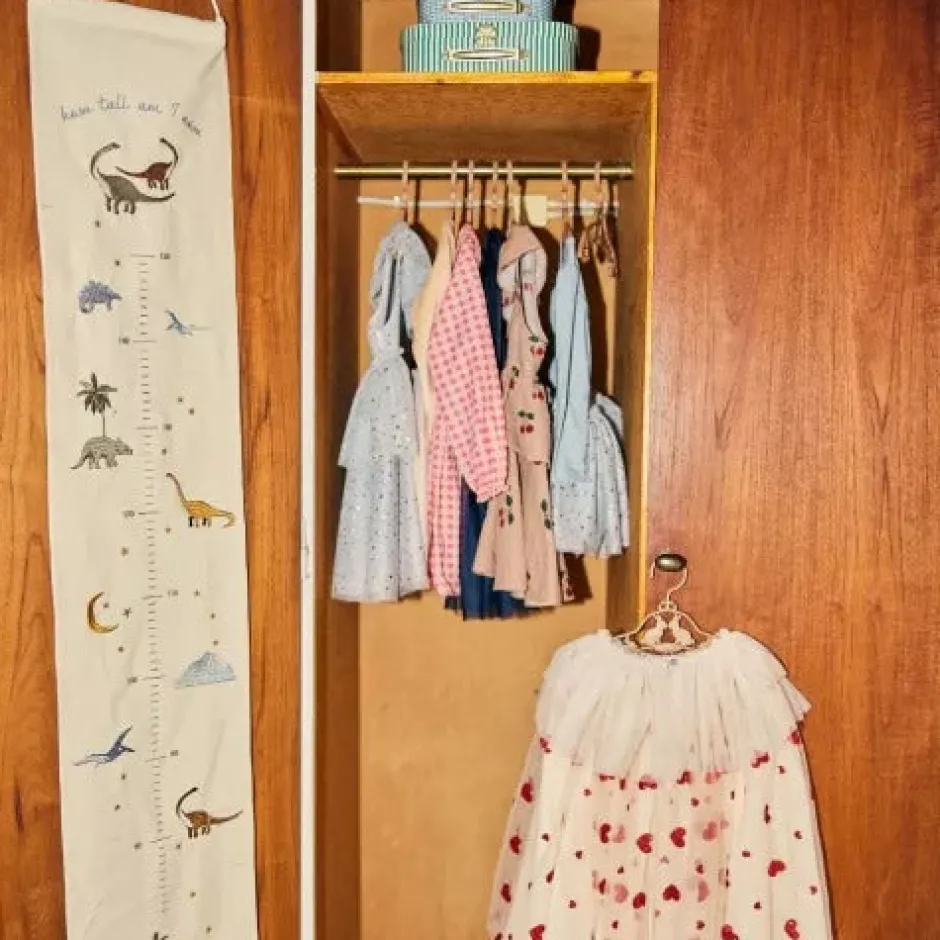 Outlet Groeimeter | Dino | Decoraties & Accessoires