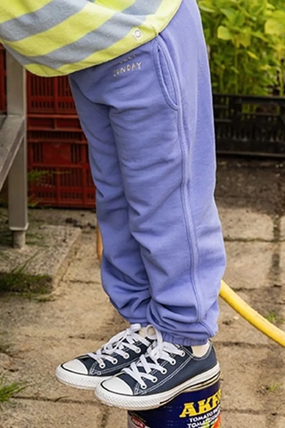 Clearance Sweat pants | Blue bell | Sproet & Sprout DAMES Co-ords|Co-ords