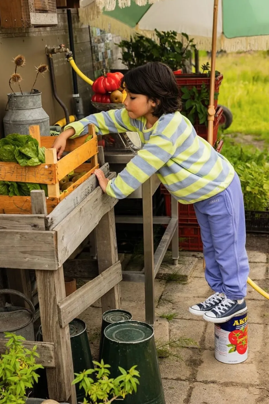 Sale Sweatshirt Terry stripes | Citrus | Sproet & Sprout DAMES Co-ords|Co-ords