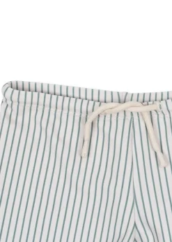 Online Swim pants Aster | Tea stripe | Zwemkleding